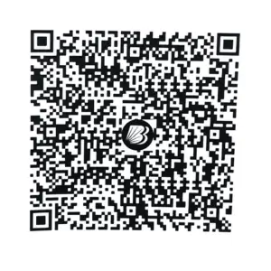 Payment QR code